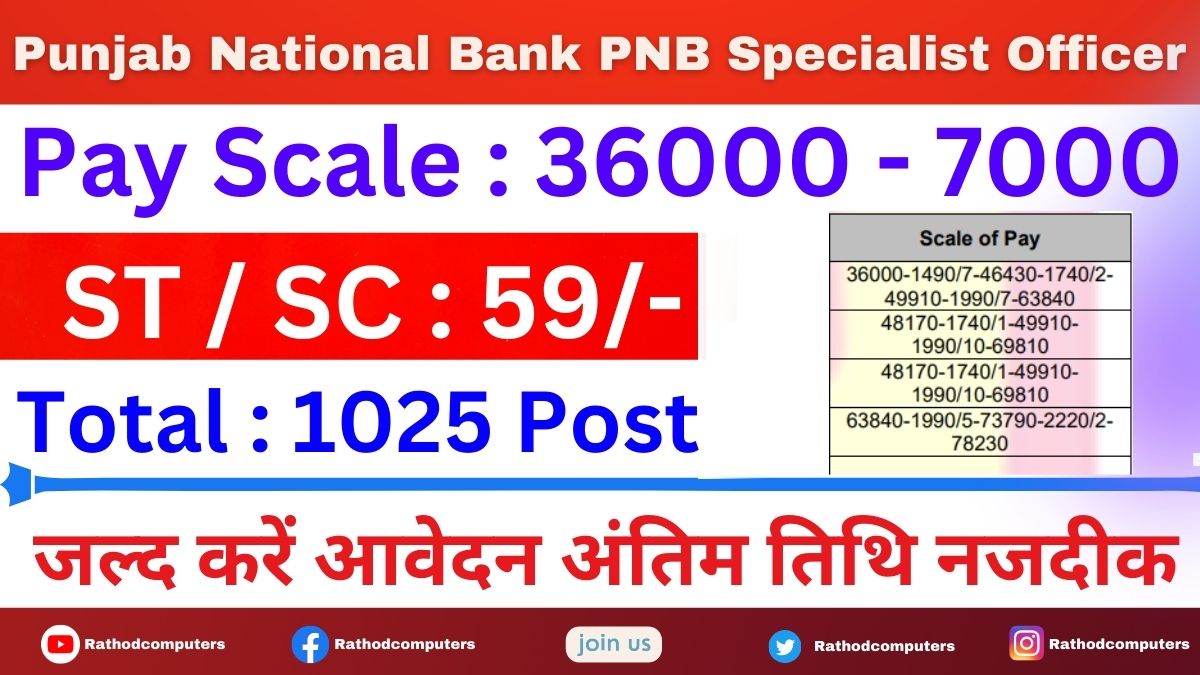Punjab national bank pnb specialist officer qualification